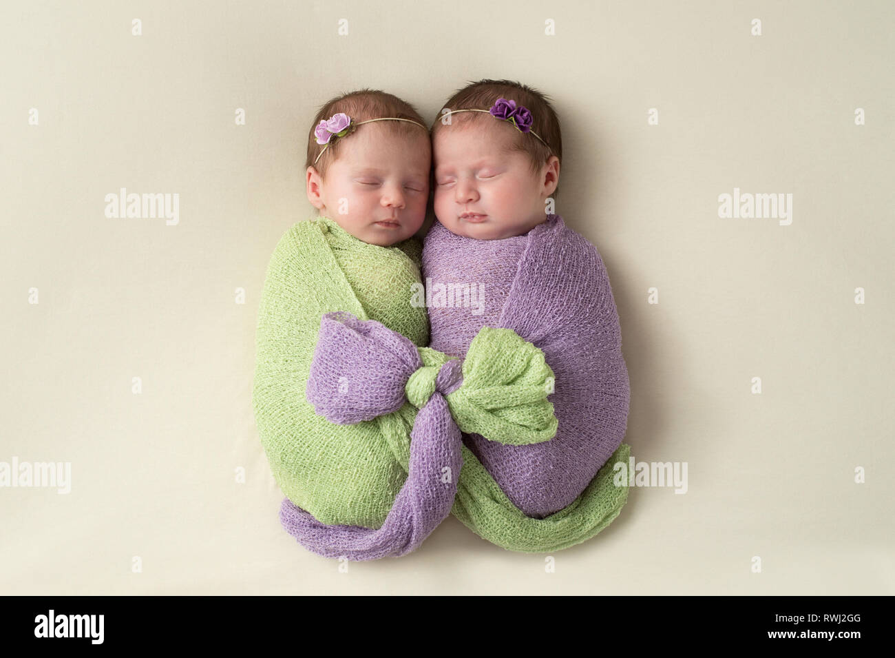 Fraternal twin newborn baby girls swaddled together in light green and lavender stretch wrap material. Stock Photo