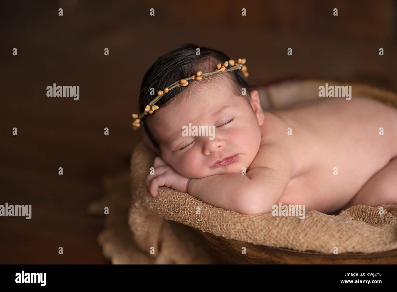 Portrait of a week old sleeping newborn baby girl. She is wearing a natural twig crown and sleeping inside of a little bowl. Stock Photo