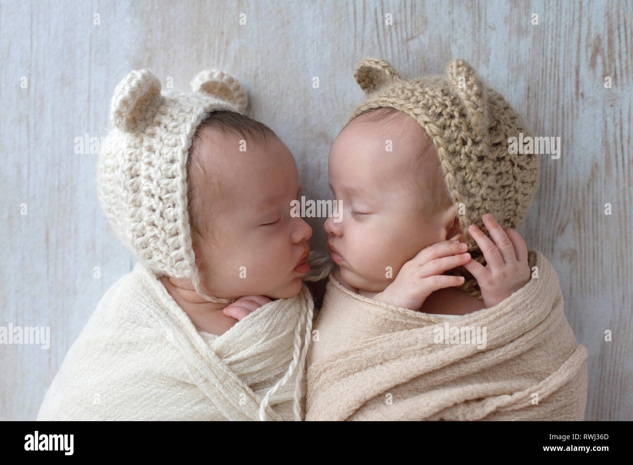 Profile headshot of two, fraternal, twin, baby girls sleeping. They are wearing crocheted bear hats and are swaddled in cream and tan wraps. Stock Photo