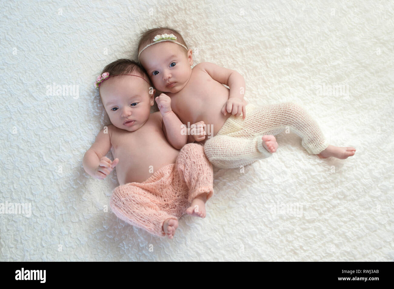 Baby fraternal twin sisters wearing light pink and cream knitted pants. Stock Photo