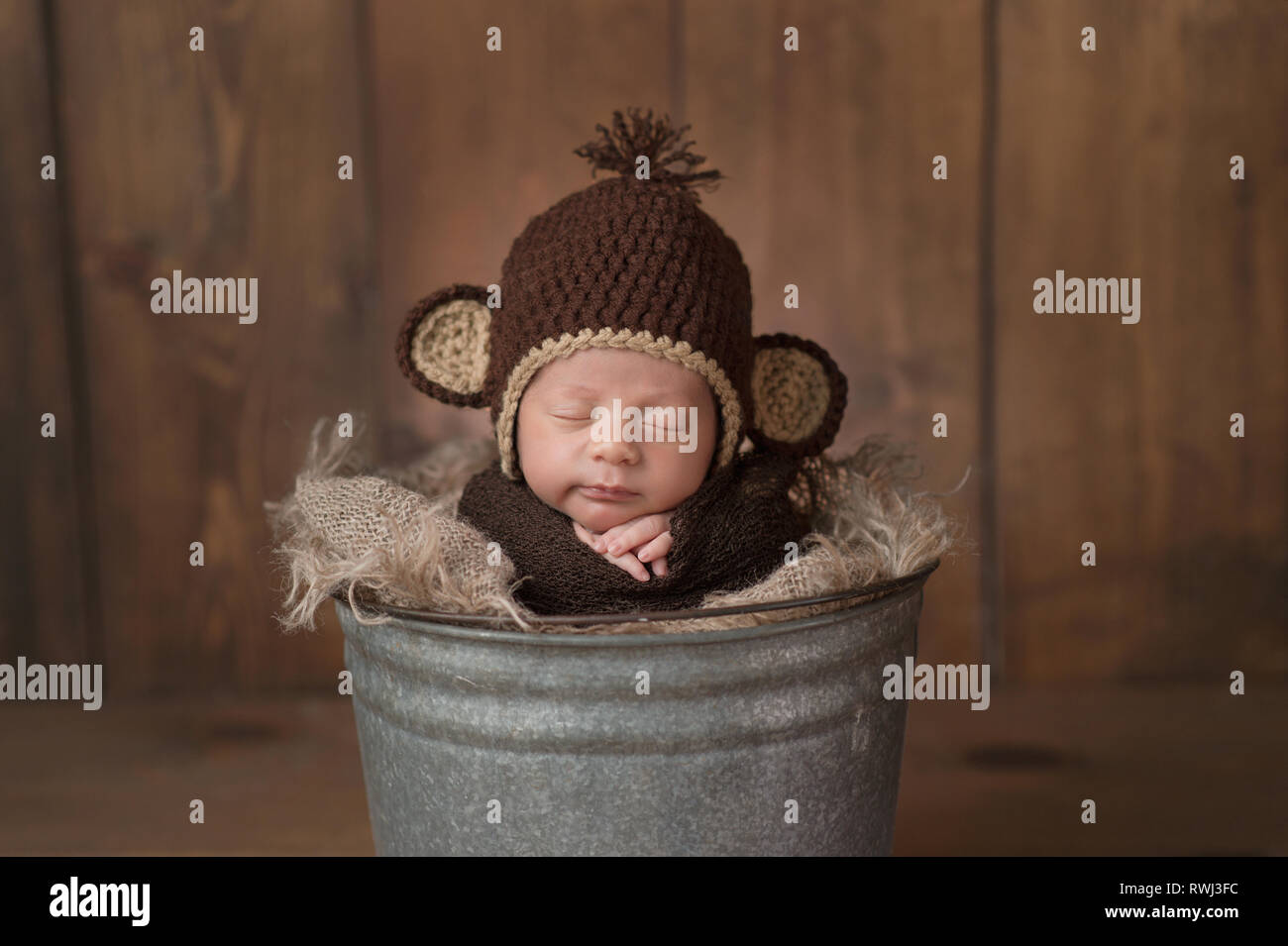 Sleeping baby monkey hi-res stock photography and images - Alamy