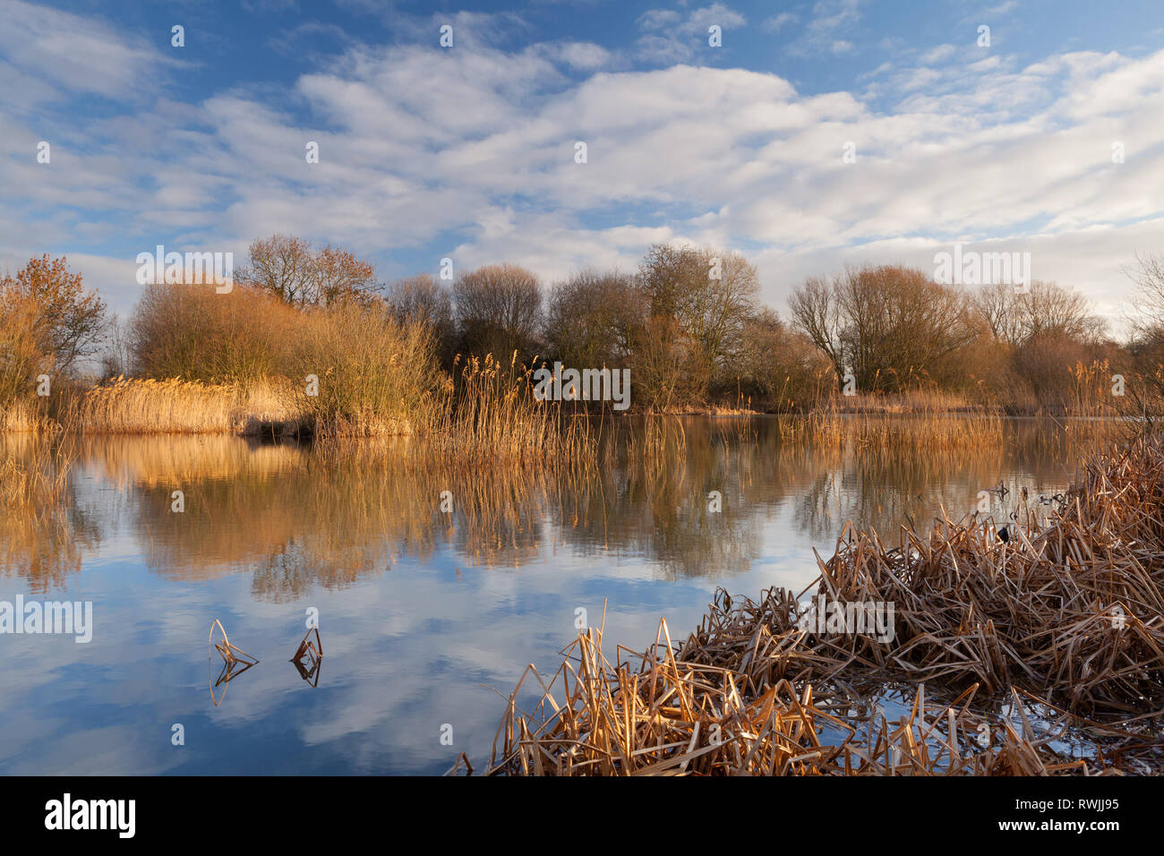 Barton-upon-Humber, North Lincolnshire, UK. 7th March, 2019. UK Weather: A bright, but cold, start to the day at a Lincolnshire Wildlife Trust Nature Reserve. Barton-upon-Humber, North Lincolnshire, UK. 7th March 2019. Credit: LEE BEEL/Alamy Live News Stock Photo