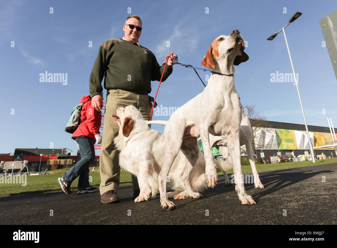 Birmingham, UK. 7th Mar, 2019. Show dogs arriving with their owners for the first day of Crufts 2019 being held at the NEC over four days. 27,000 dogs are expected to be shown over the four days, 220 different breeds, and with an estimated 165,000 dog lovers visiting. Credit: Peter Lopeman/Alamy Live News Stock Photo