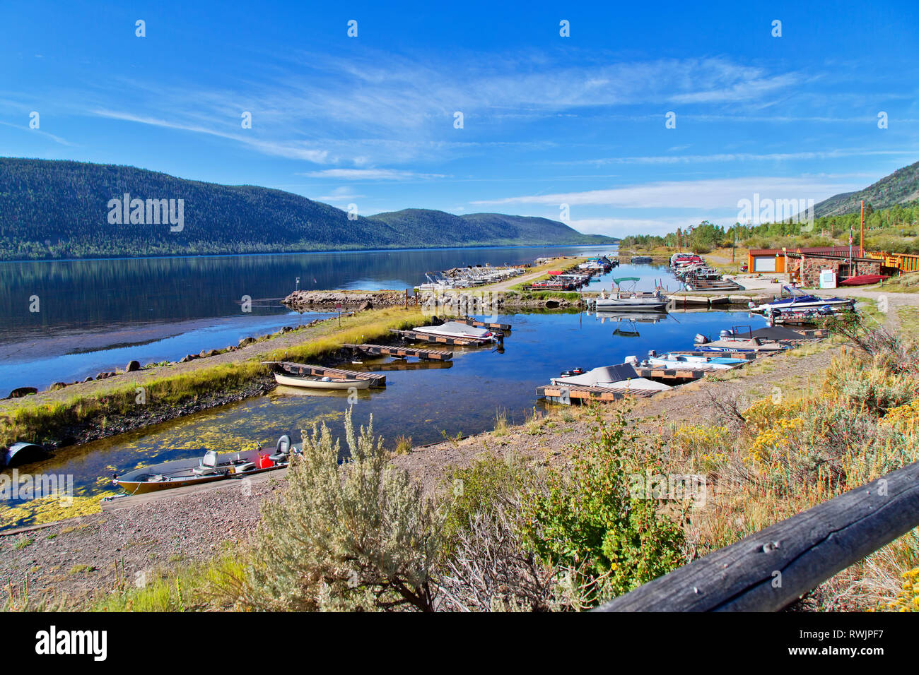 Bowery Haven Marina & RV Resort, Fish Lake,  Aspen forest, Pando Clone, Fishlake National Forest, Wasatch Mountains. Stock Photo