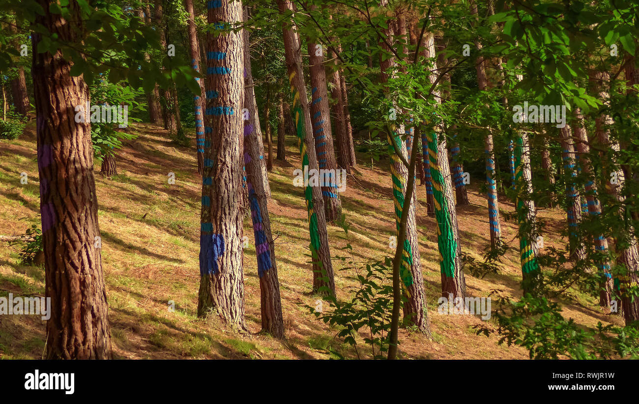 Basque woods hi-res stock photography and images - Page 2 - Alamy