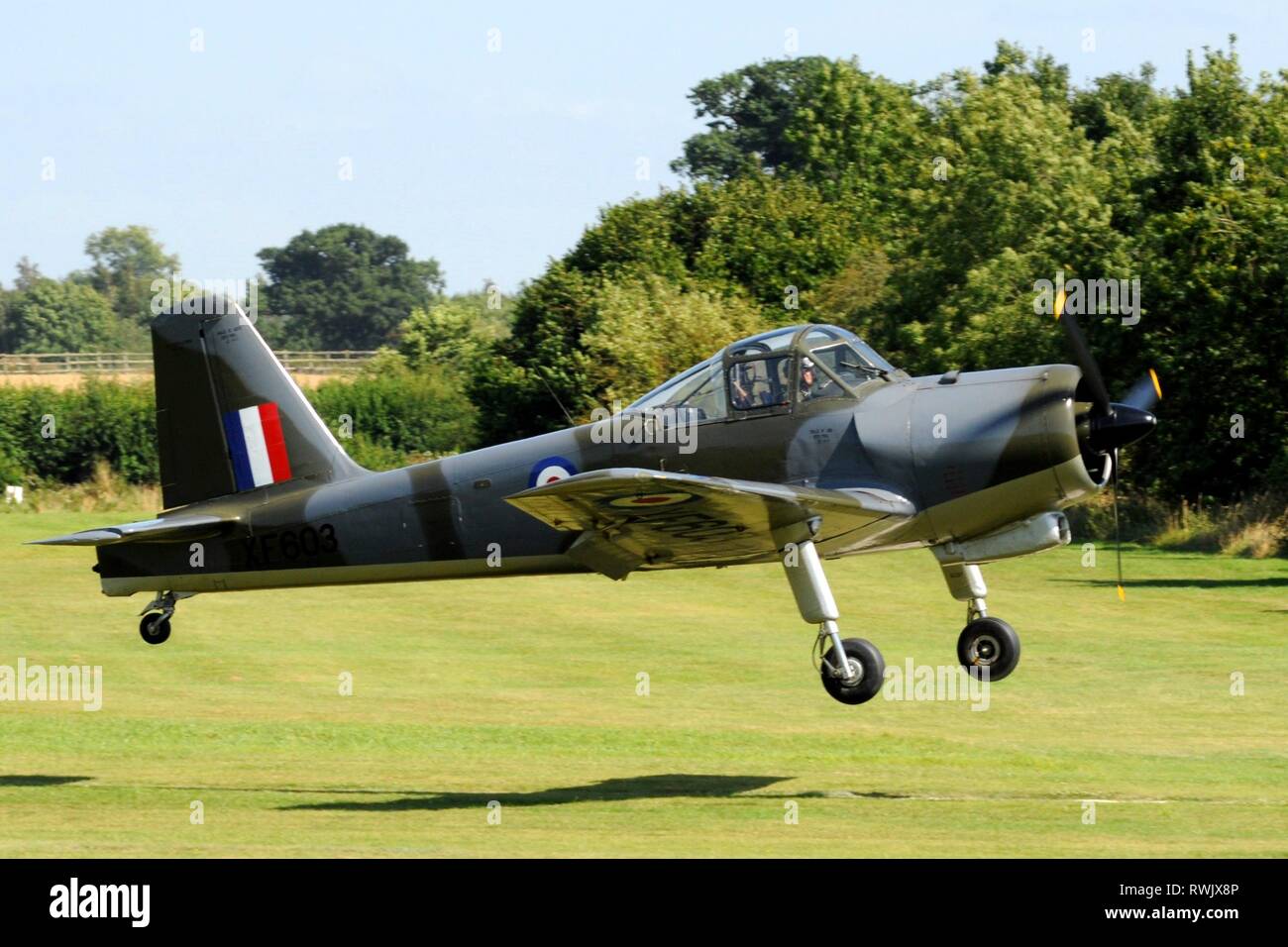 Percival Provost T1, in markings used for delivery to the Oman Air Force, landing at Old Warden airfield at the Shuttleworth Collection, UK. Stock Photo