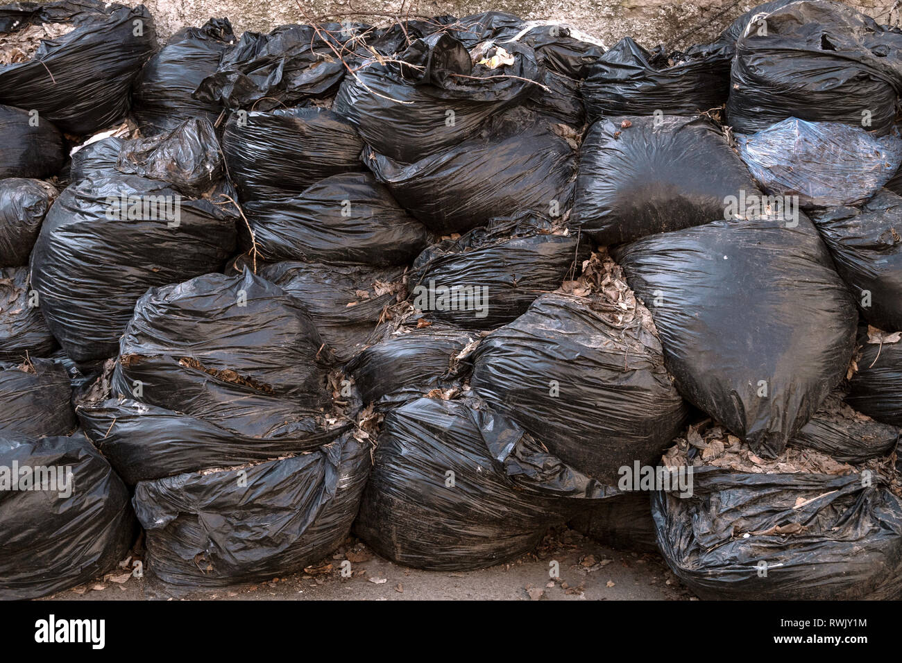 The big black plastic bags with garbage waste in forest Stock Photo - Alamy