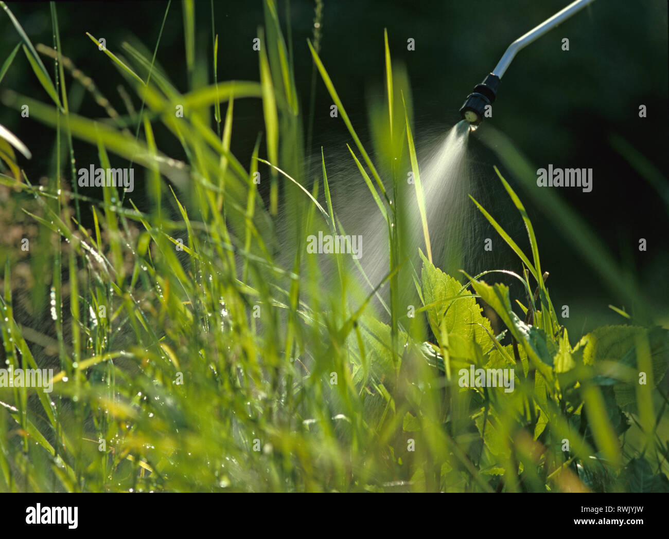 Spray from a hand-held garden sprayer showing nozzle and weeds Stock Photo