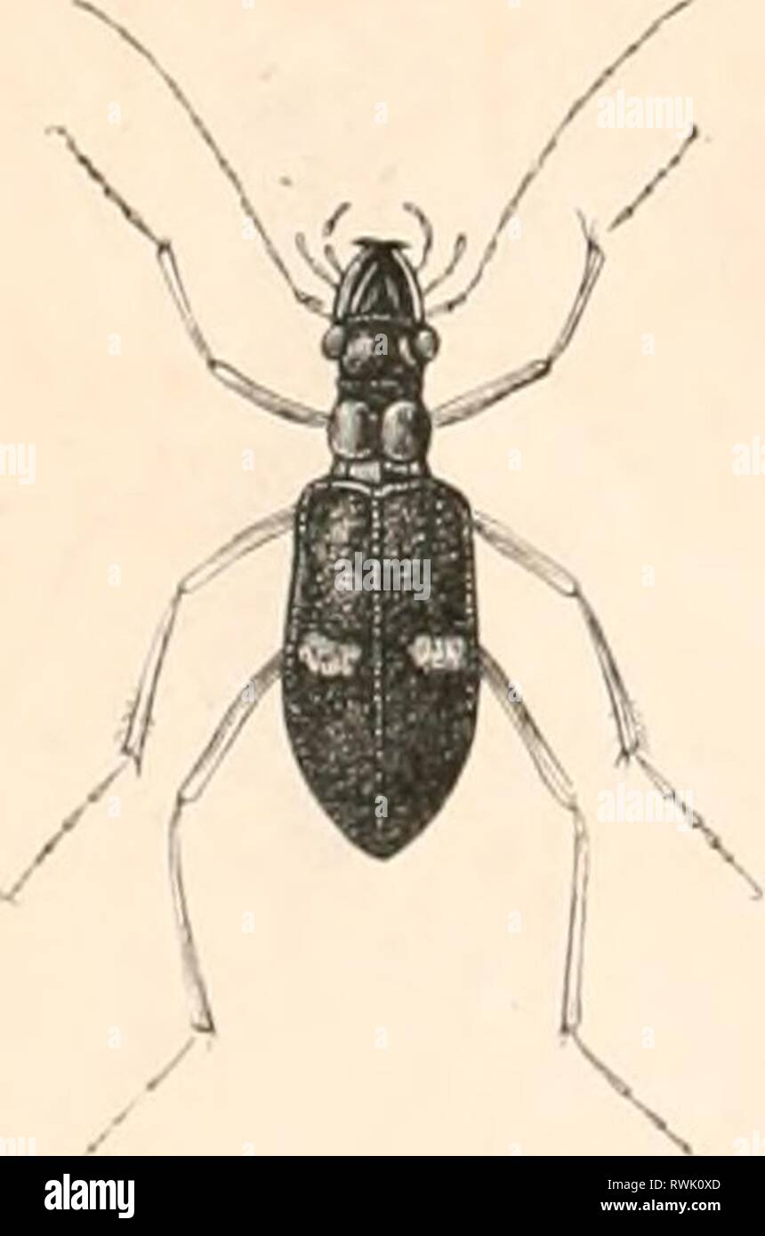 Page 2 Ta 40 High Resolution Stock Photography And Images Alamy