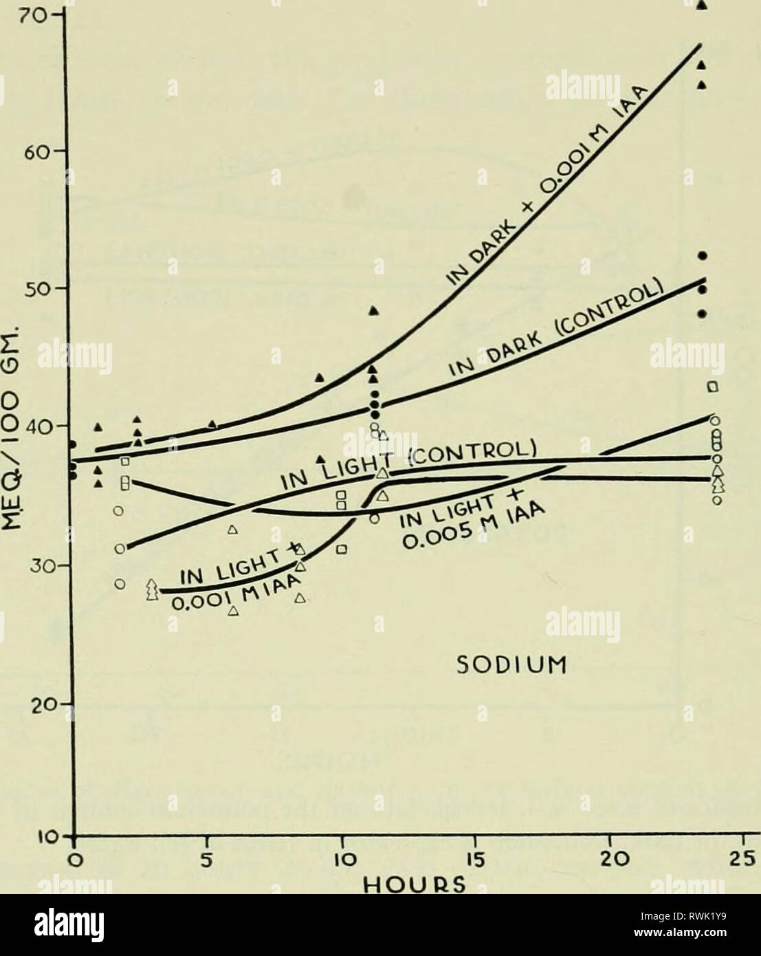 Electrolytes in biological systems, incorporating Electrolytes in biological systems, incorporating papers presented at a symposium at the Marine Biological Laboratory in Woods Hole, Massachusetts, on September 8, 1954 electrolytesinbi00shan Year: 1955  44 ELECTROLYTES IN BIOLOGICAL SYSTEMS what reduced compared to the controls (fig. 4). Light also prevents an increase in sodium when the inhibitor concentration is raised to 0.005 m/1. Influence of iodoacetate in the light and the dark: Valonia. The presence of the inhibitor at a concentration of o.ooi m/1. causes no significant change in the p Stock Photo