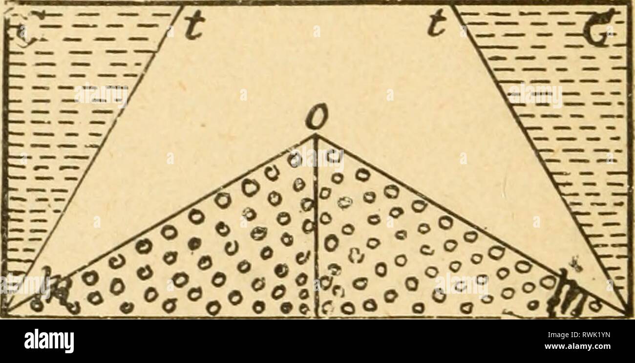 Elementary Lessons In The Physics Stock Photo Alamy