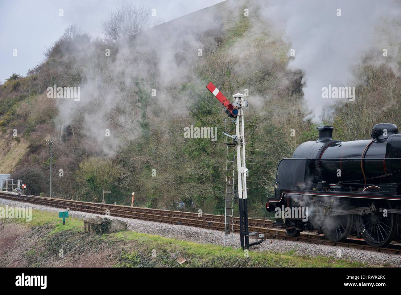 A traditional black steam train steaming along a wooded track (railway line) beneath a hill. Red signal post set to go and grey steam / smoke above th Stock Photo
