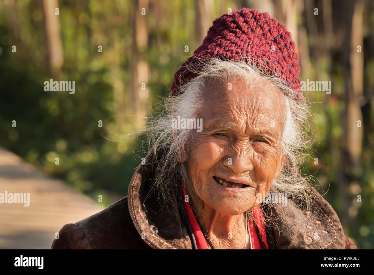 Portrait of an elderly Thai woman taking in the Dog And Khang region; Fang District, Chiang Mai Province, Thailand Stock Photo