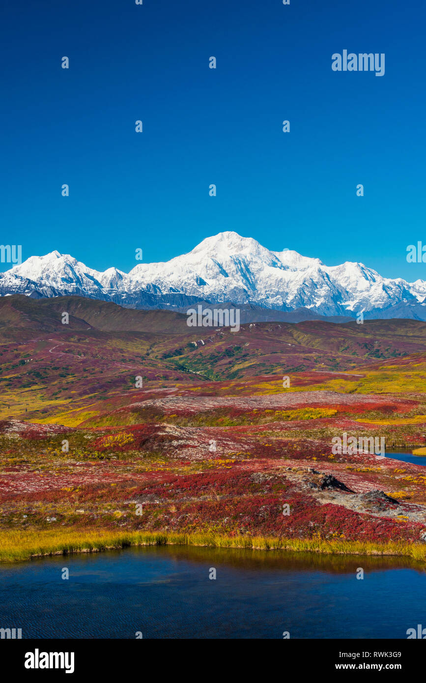 Pretty Rocks Denali Denali National Park and Preserve as seen from Peters Hills with 20320 ...