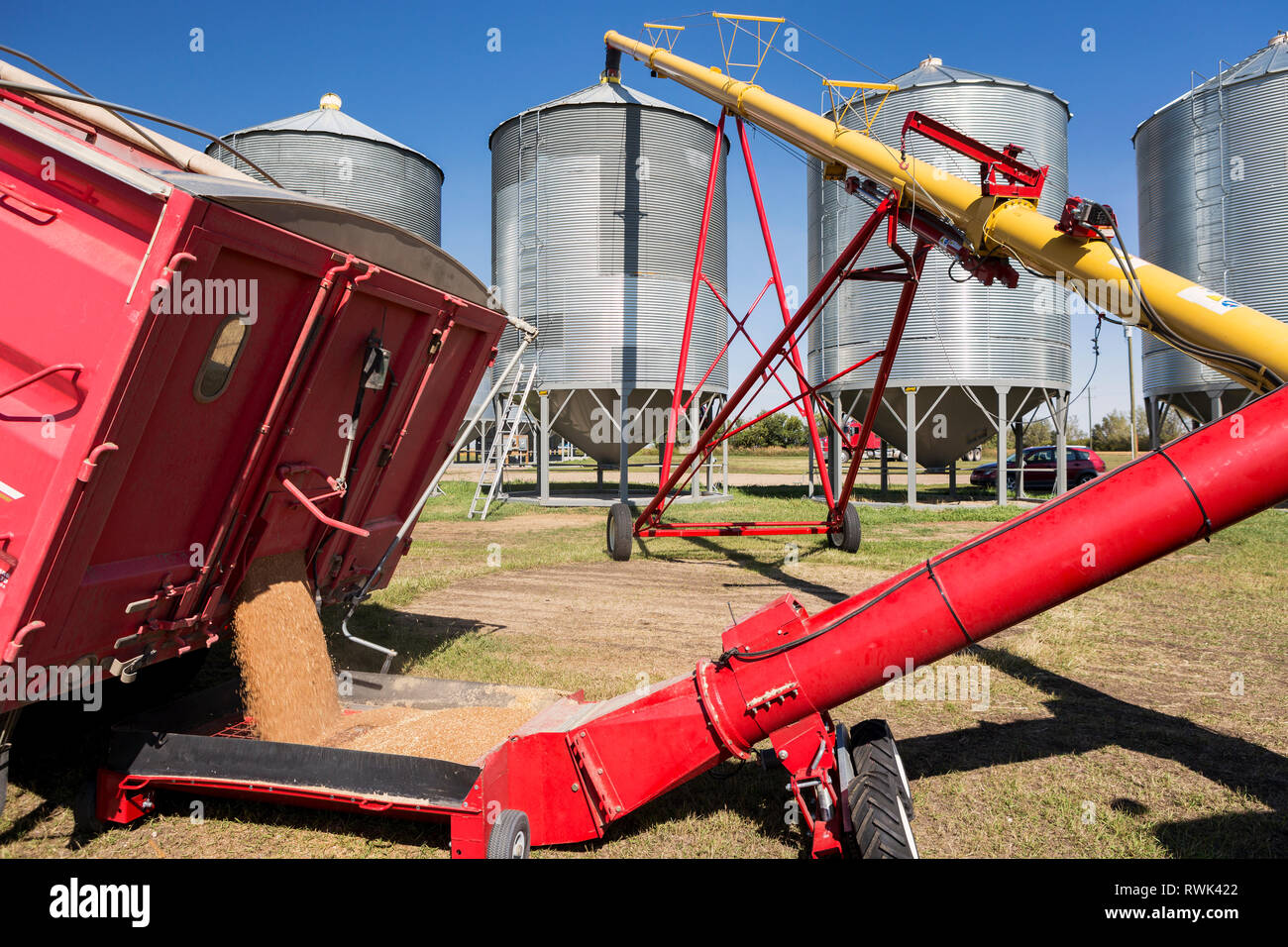 Grain truck filling auger and large metal grain bins against a blue sky