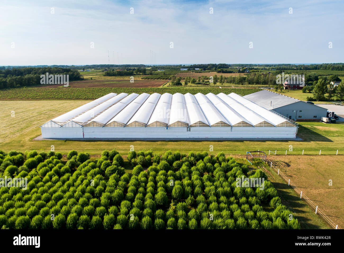 Aerial view of greenhouses with orchard in the foreground; Vineland, Ontario, Canada Stock Photo
