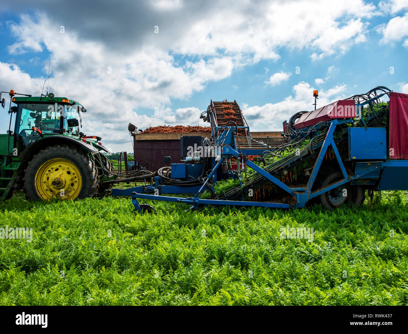 Farm equipment at a carrot harvest; Nova Scotia, Canada Stock Photo