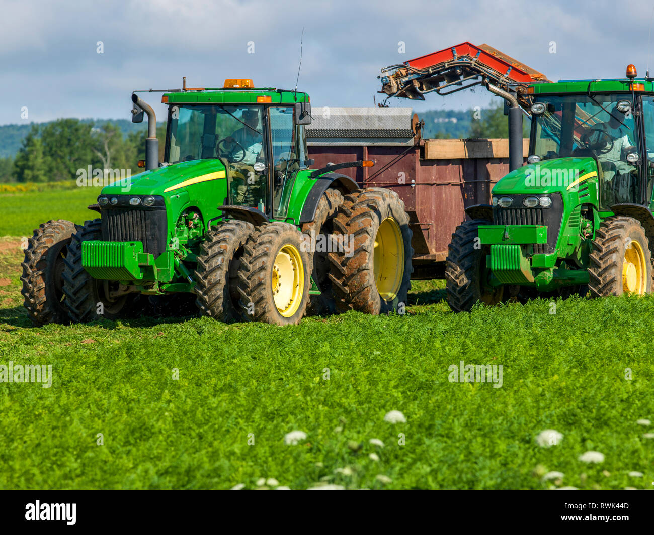 Farm equipment harvesting carrots; Nova Scotia, Canada Stock Photo Alamy
