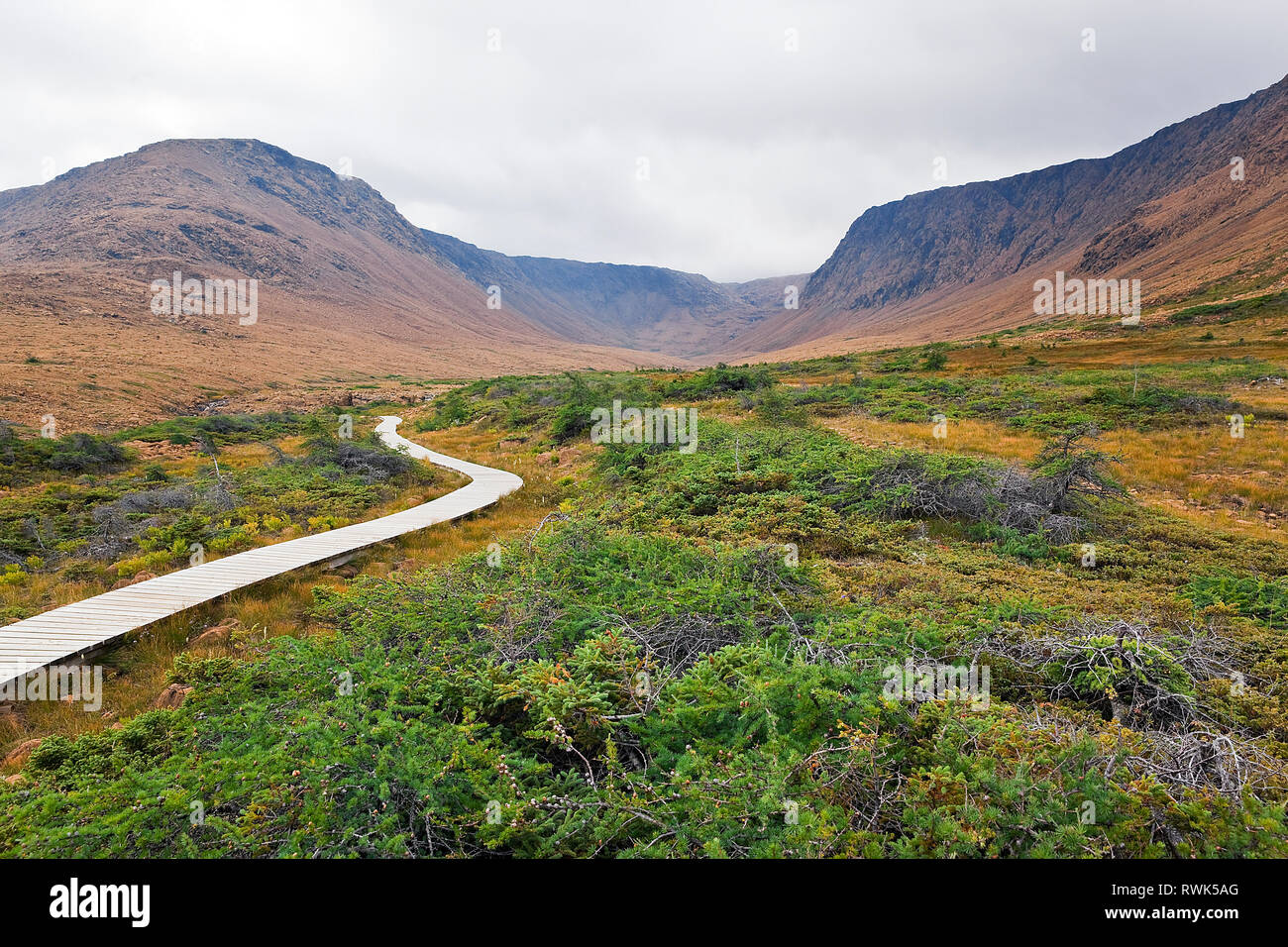 Section of the Tablelands Trail that is traversed on a wooden boardwalk because of the rugged terrain and to avoid damaging fragile plants species. In the background is the Winterhouse Brook Canyon. Gros Morne National Park, Newfoundland, Canada Stock Photo