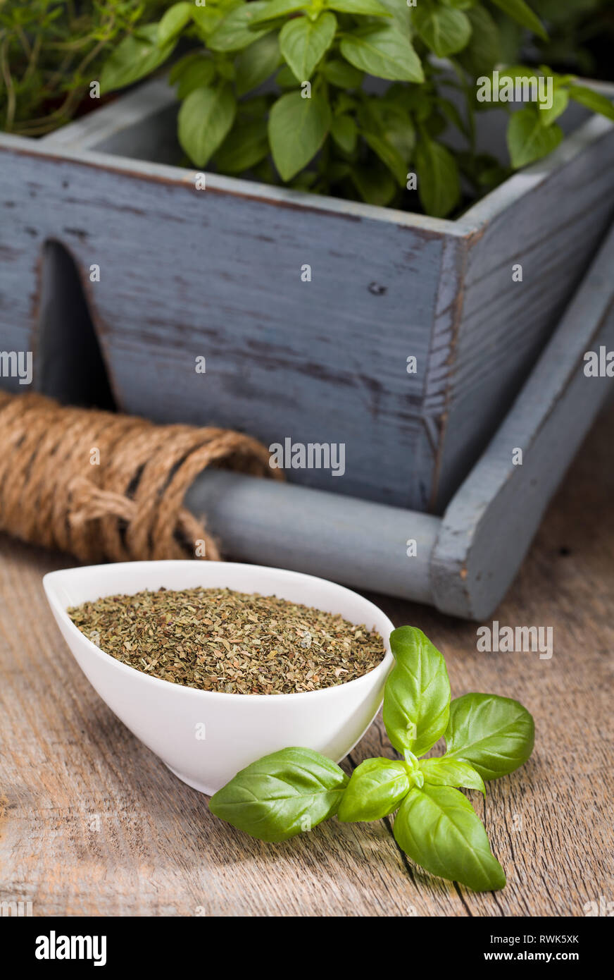 different types of Fresh and dried basil Stock Photo Alamy