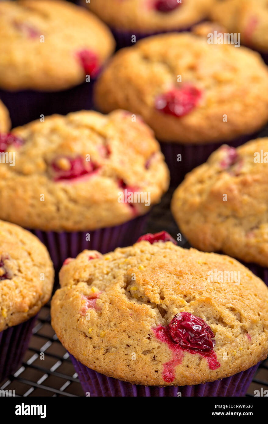 Freshly baked cranberry muffins cooling on a rack Stock Photo