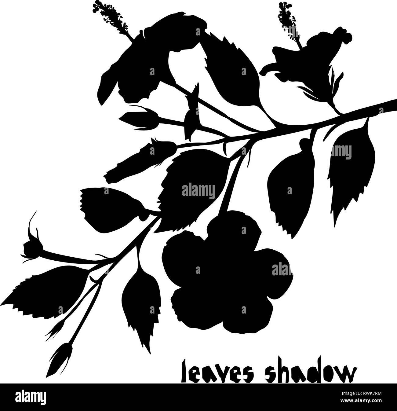 Pattern with black tropical hibiscus leaves and flower silhouette shadow isolated on white background. Vintage fabric textile, fashion summer print de Stock Vector