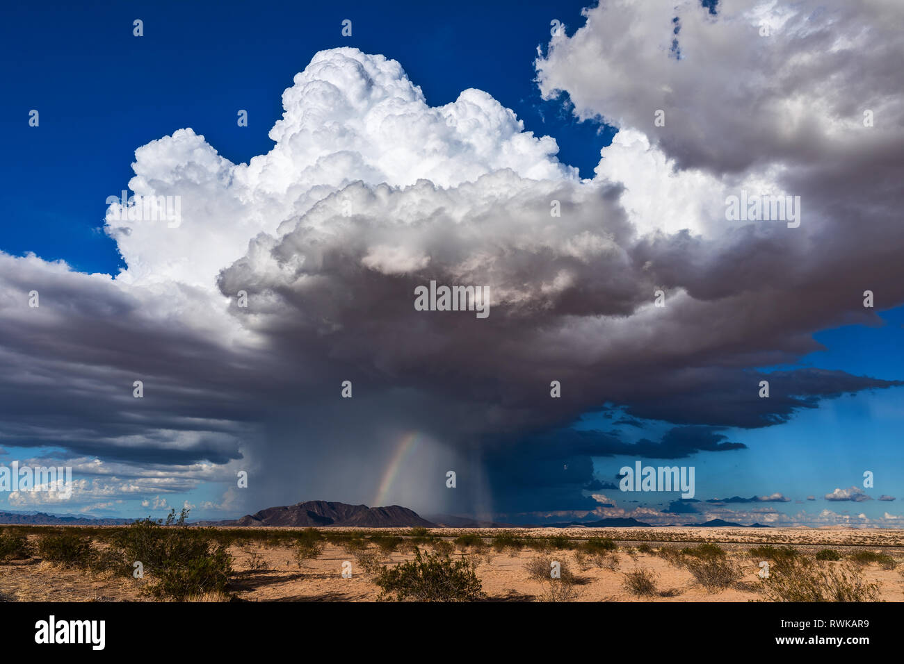Cumulonimbus cloud with heavy rain and a landspout tornado near Parker, Arizona Stock Photo