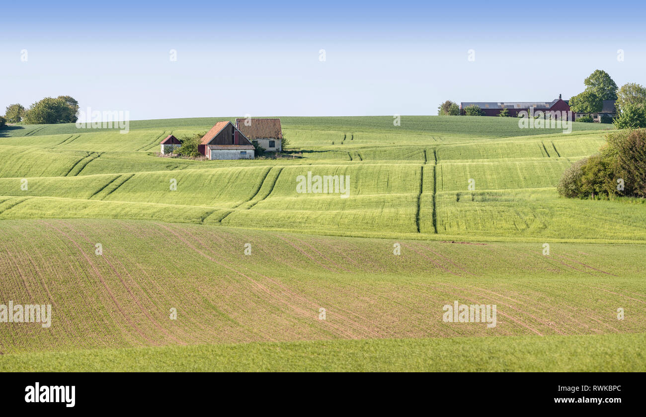 Old farm house at beautiful rural landscape, Skane, Sweden, Scandinavia. Stock Photo