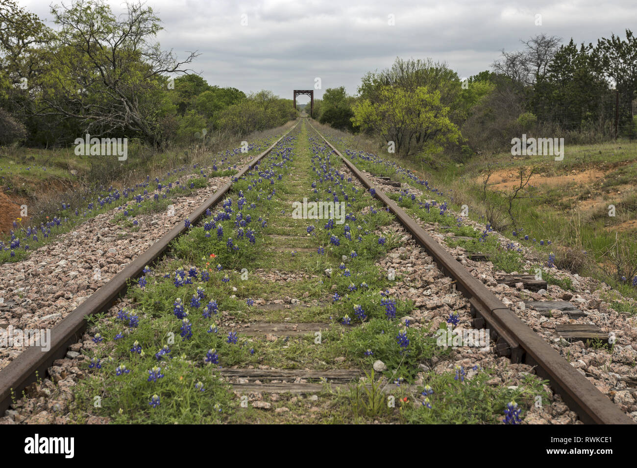 The railroad tracks in Kingsland, Texas with some
