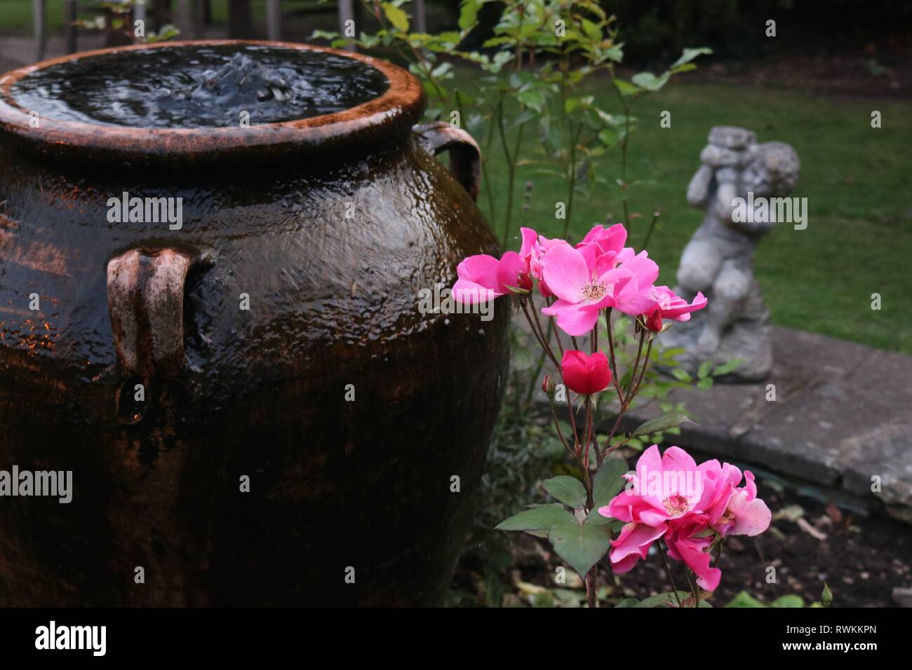 Pink roses growing beside a large terracotta olive oil jar style fountain urn with small grey cherub statue in background Stock Photo
