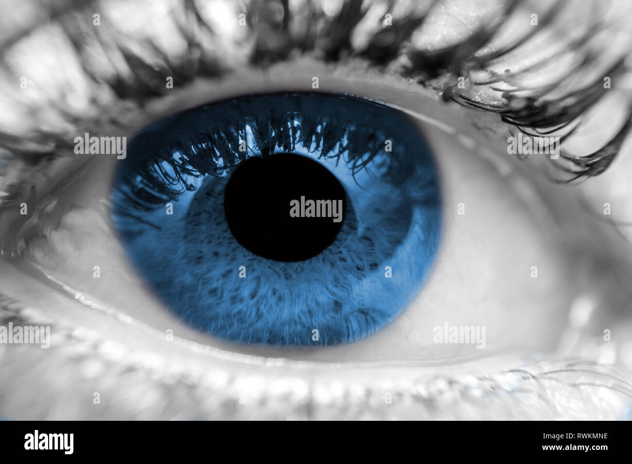 Blue iris eye over black and white. Closeup Stock Photo by ©Tempusfugit1980  6591096