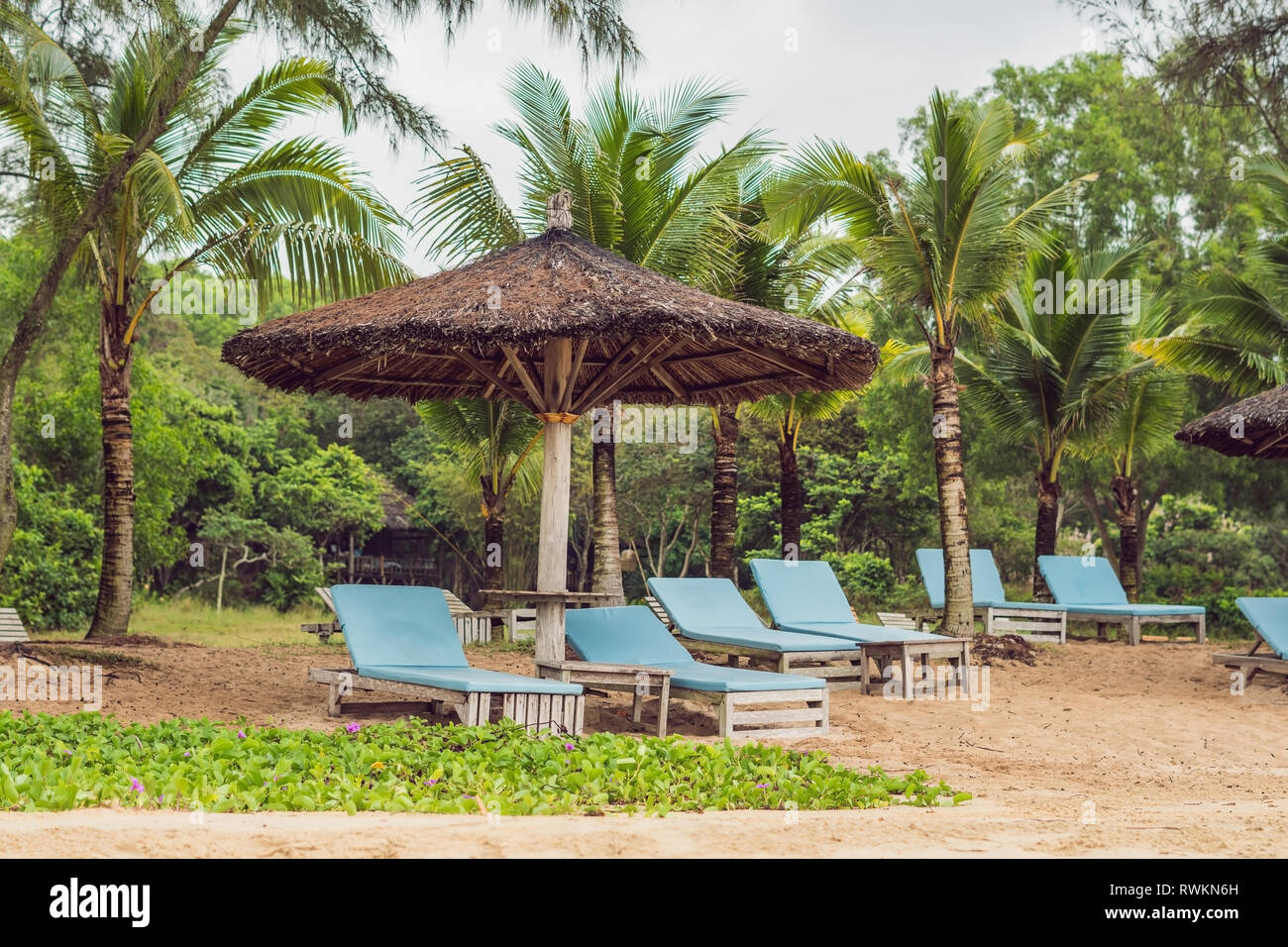 Sun beds and sun umbrellas to tourists Stock Photo