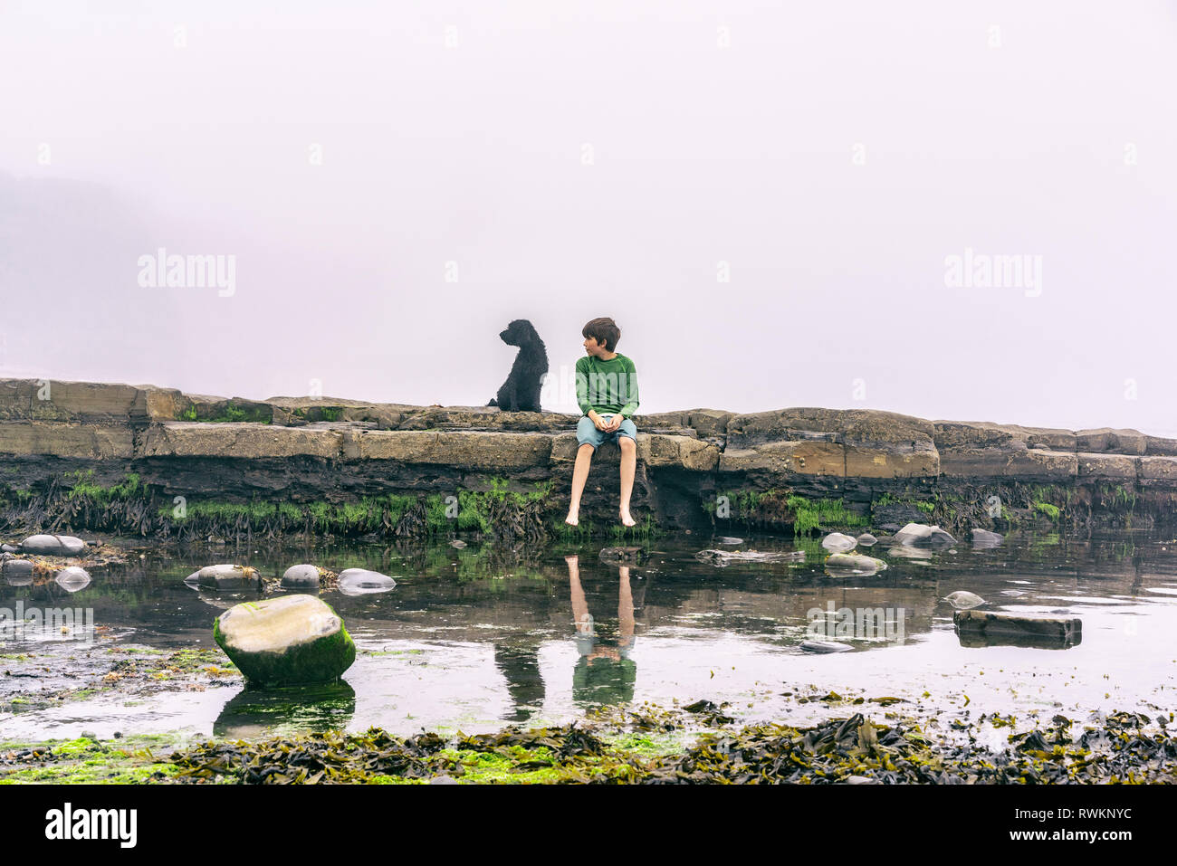 Boy and dog enjoying seaside Stock Photo