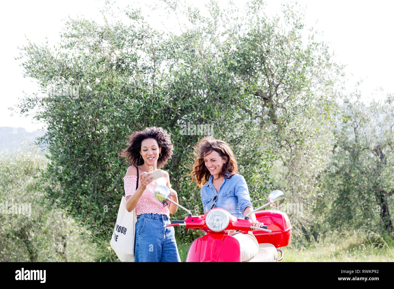 Friends checking mobile phone in olive grove Stock Photo