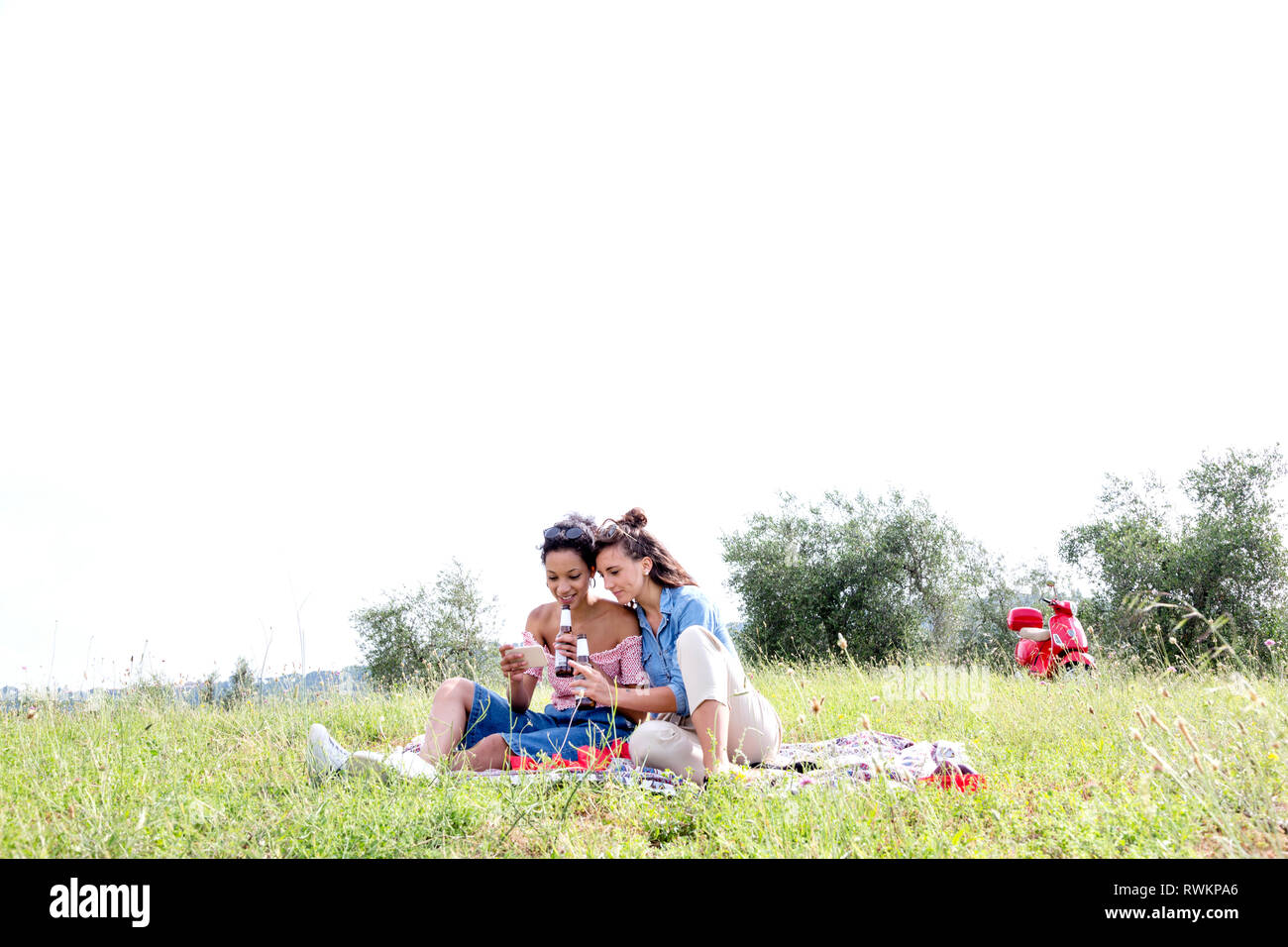 Friends enjoying picnic Stock Photo