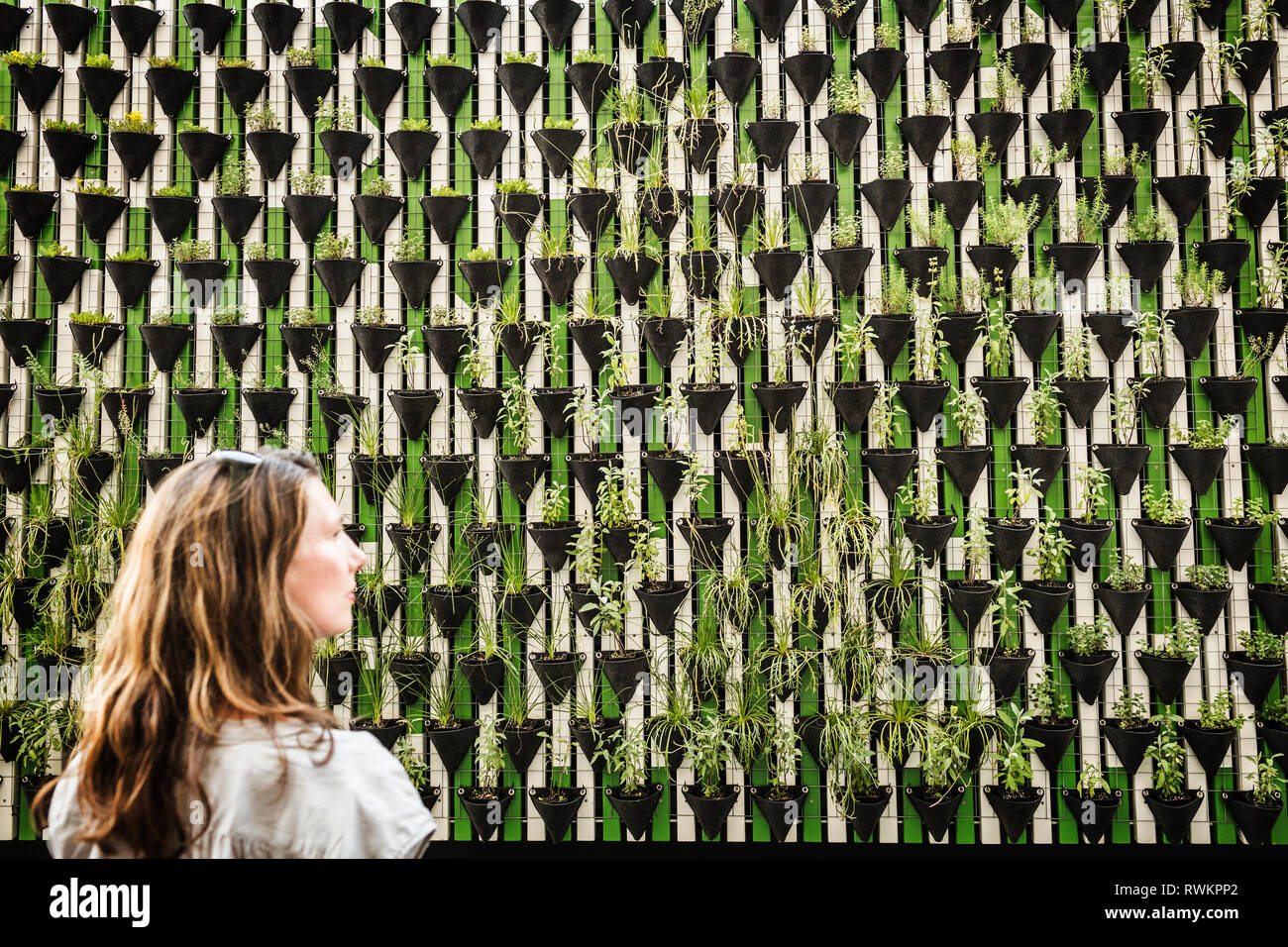 Mature woman in front of potted plant wall, over shoulder view,  Prague, Czech Republic Stock Photo