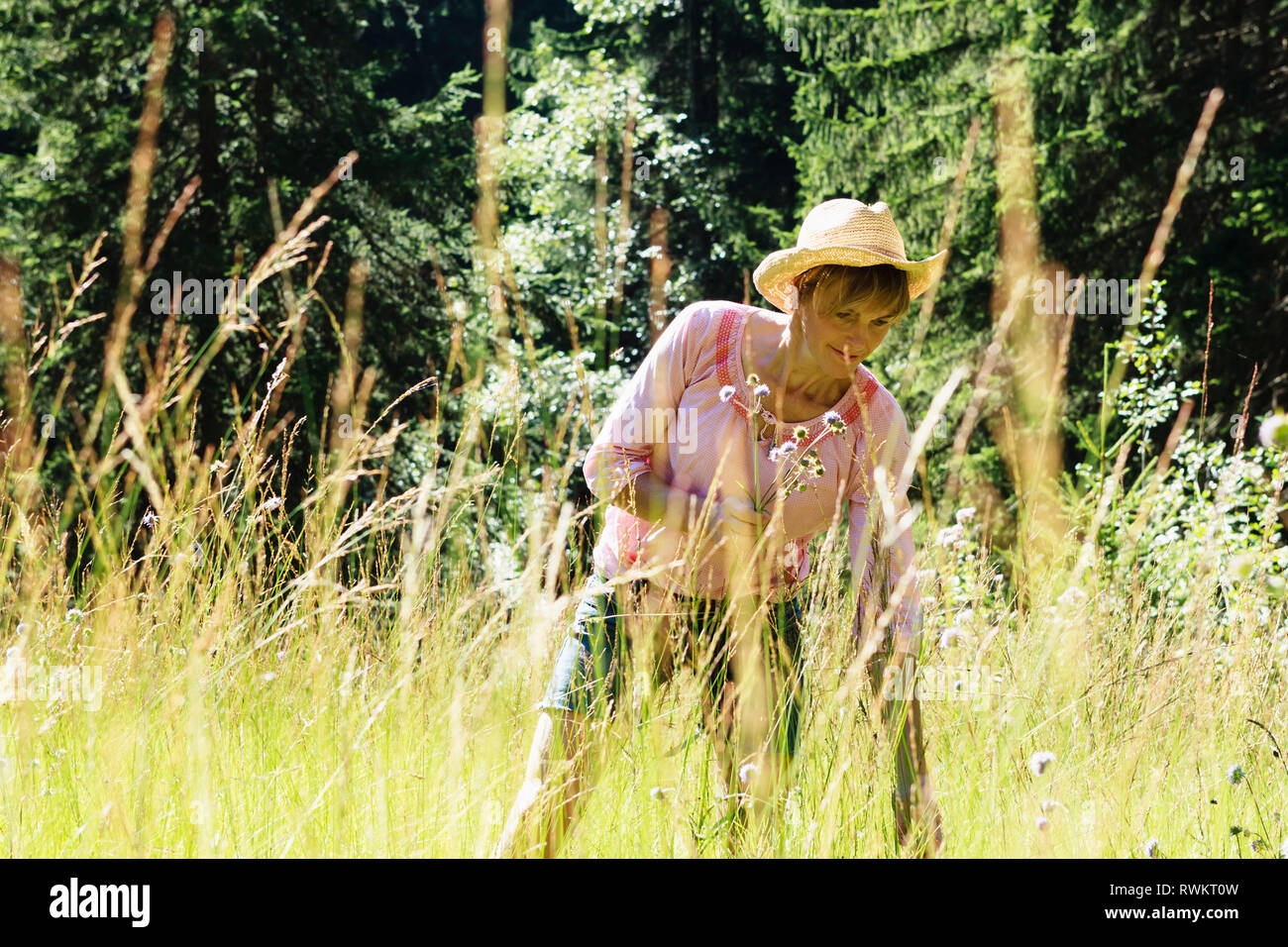 Woman picking wild flowers in forest, Sonthofen, Bayern, Germany Stock Photo