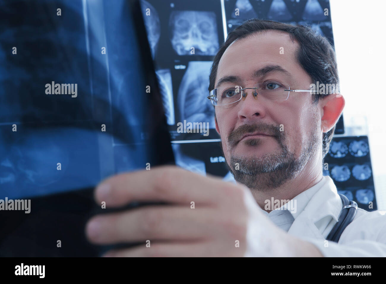 Doctor examining Xray image Stock Photo Alamy