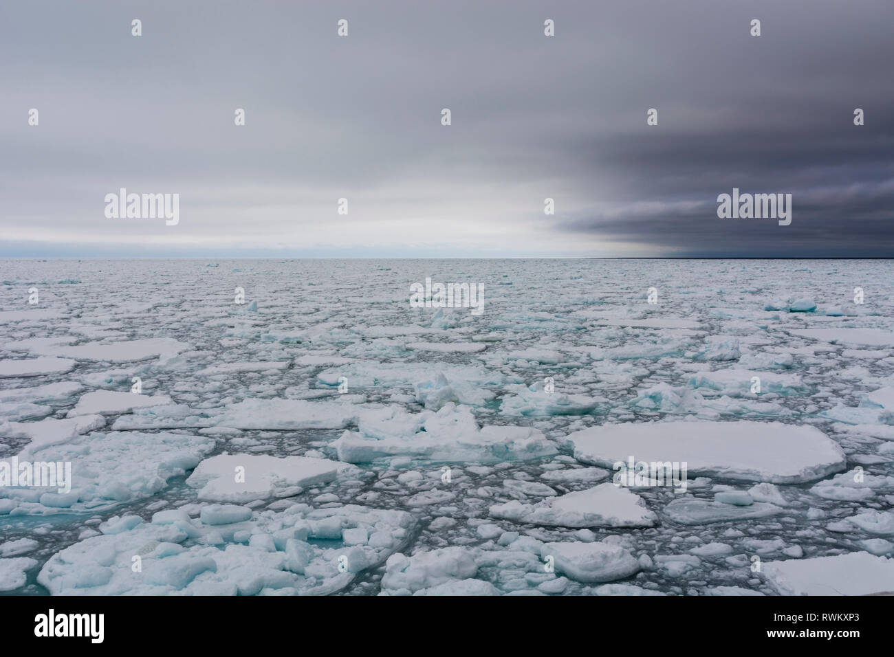 Floating pieces of pack ice, Polar Ice Cap, 81north of Spitsbergen, Norway Stock Photo