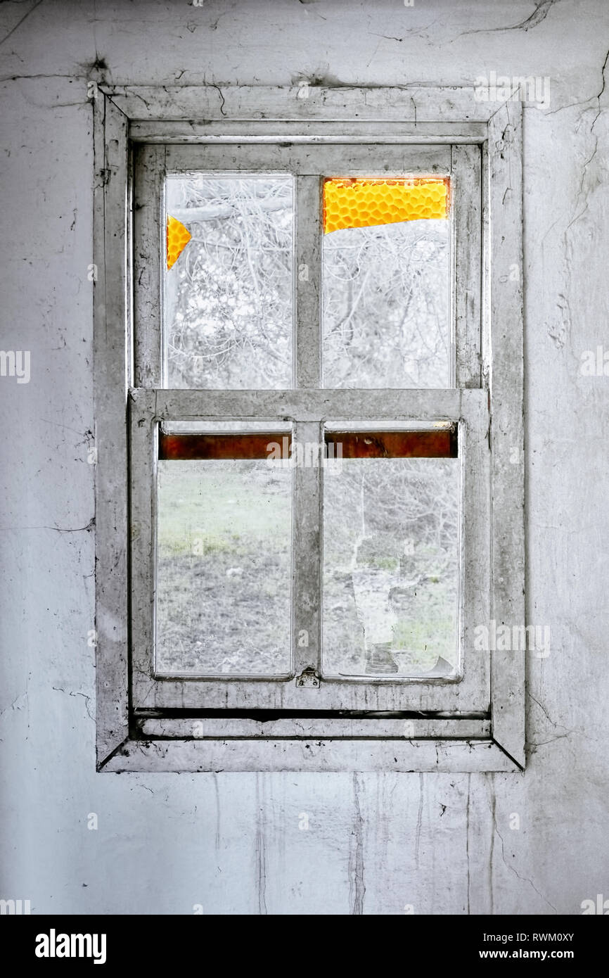 Interior of a ruined house with old, dirty and cracked white wall and vintage wooden window frame with broken glass Stock Photo