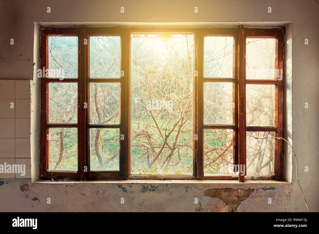 Interior of a ruined house with old, dirty and cracked white wall and a vintage wooden glassless window frame looking through a green meadow field vie Stock Photo