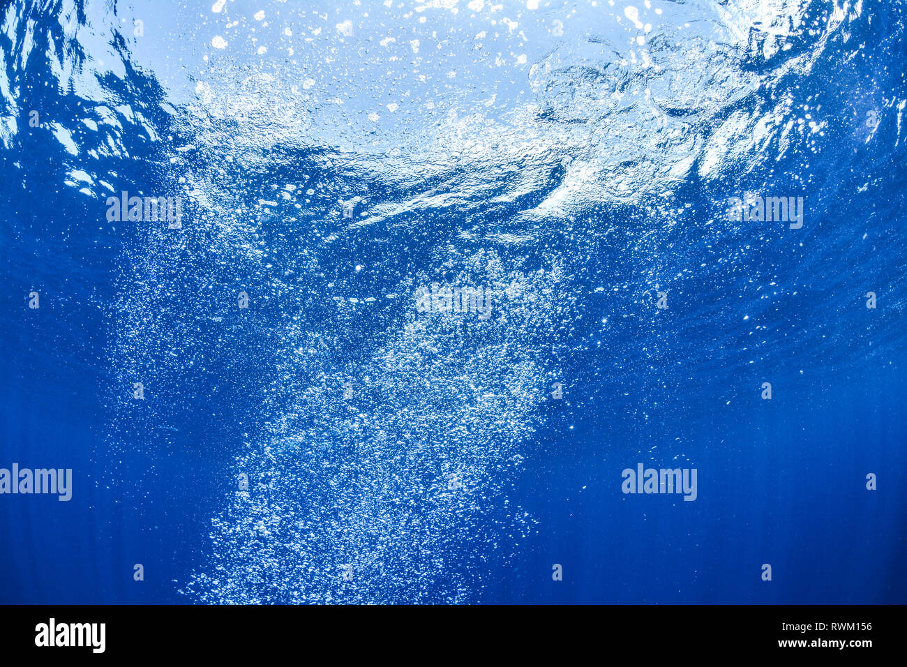 Bubbles from scuba diver hi-res stock photography and images - Alamy