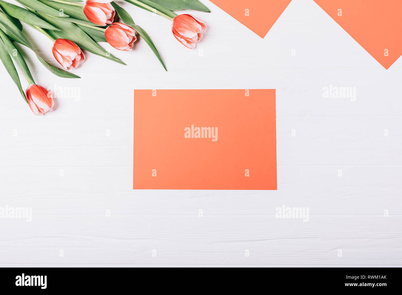 Flat lay arrangement of empty red paper sheet and fresh tulips on white ...