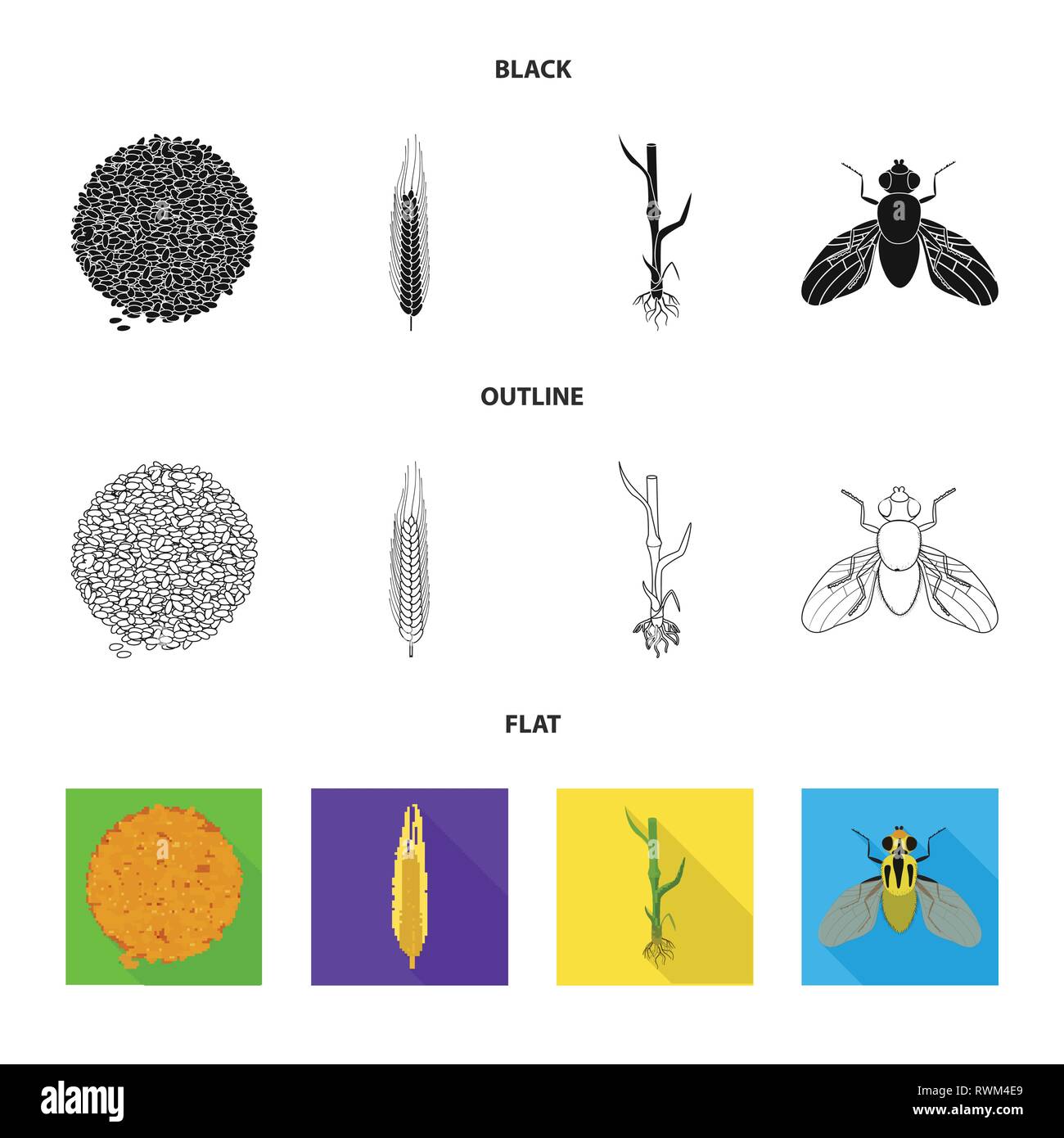 stem,fly,seeds,winter,root,insect,crop,spring,pest,bread,spike,soil ...