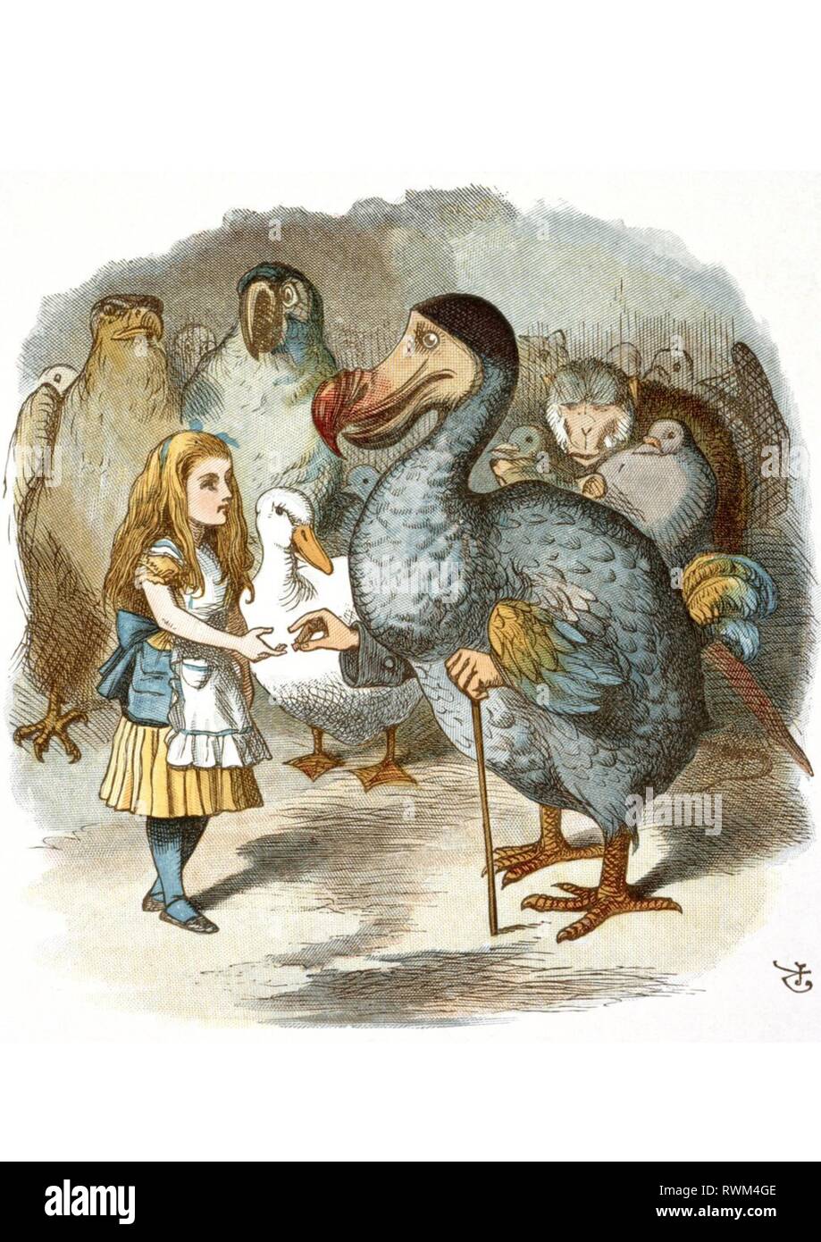 Alice In Wonderland Illustration By Sir John Tenniel Stock Photo Alamy