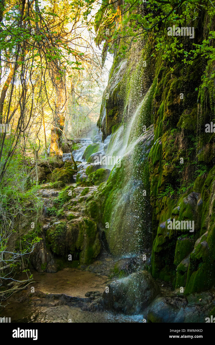 Moss covered rocks under Gorman Falls, Colorado Bend State Park; Texas, United States of America Stock Photo