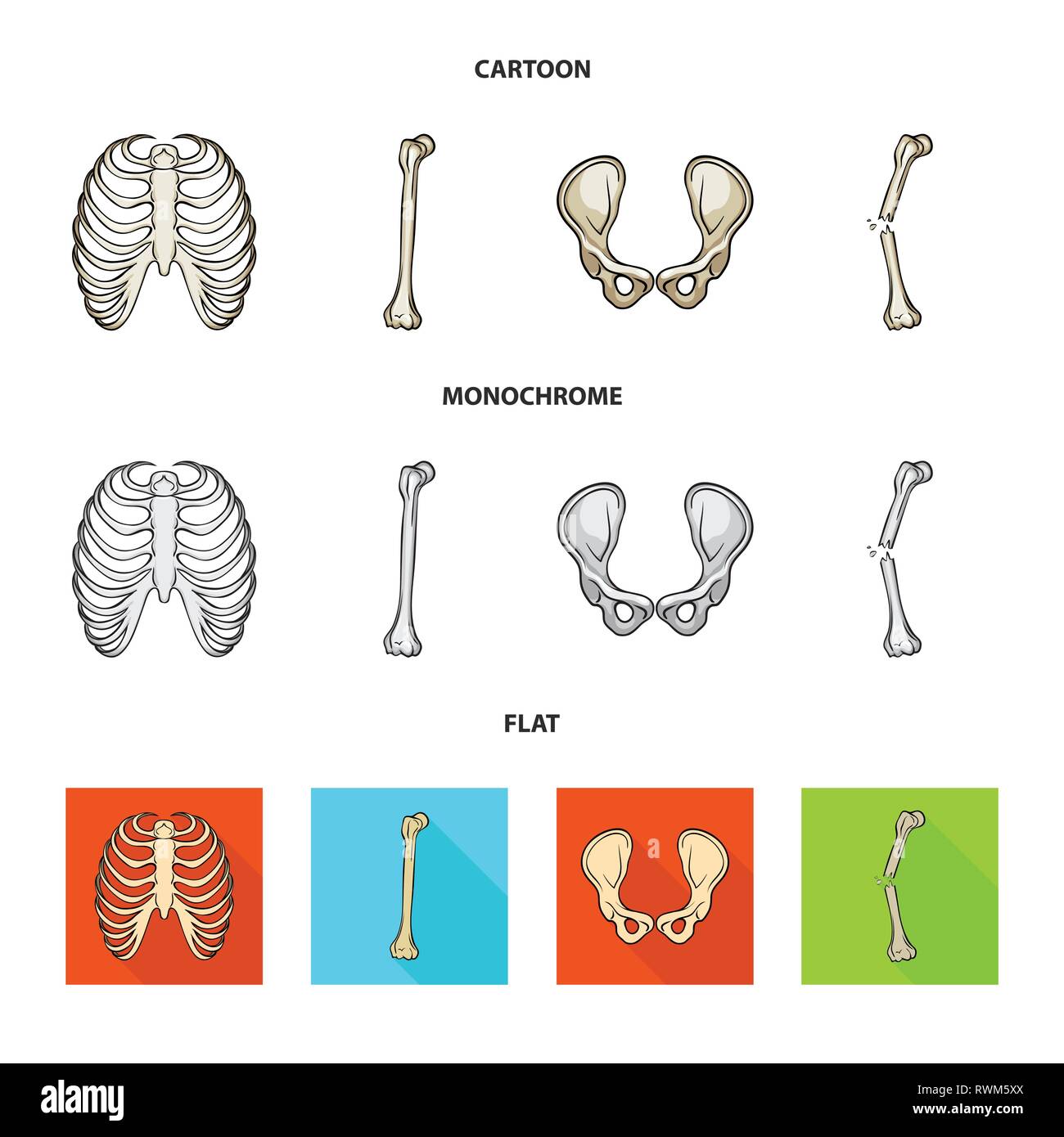 Rib Cage Xray Body Spine Sternum Breastbone Calcium S vrogue.co