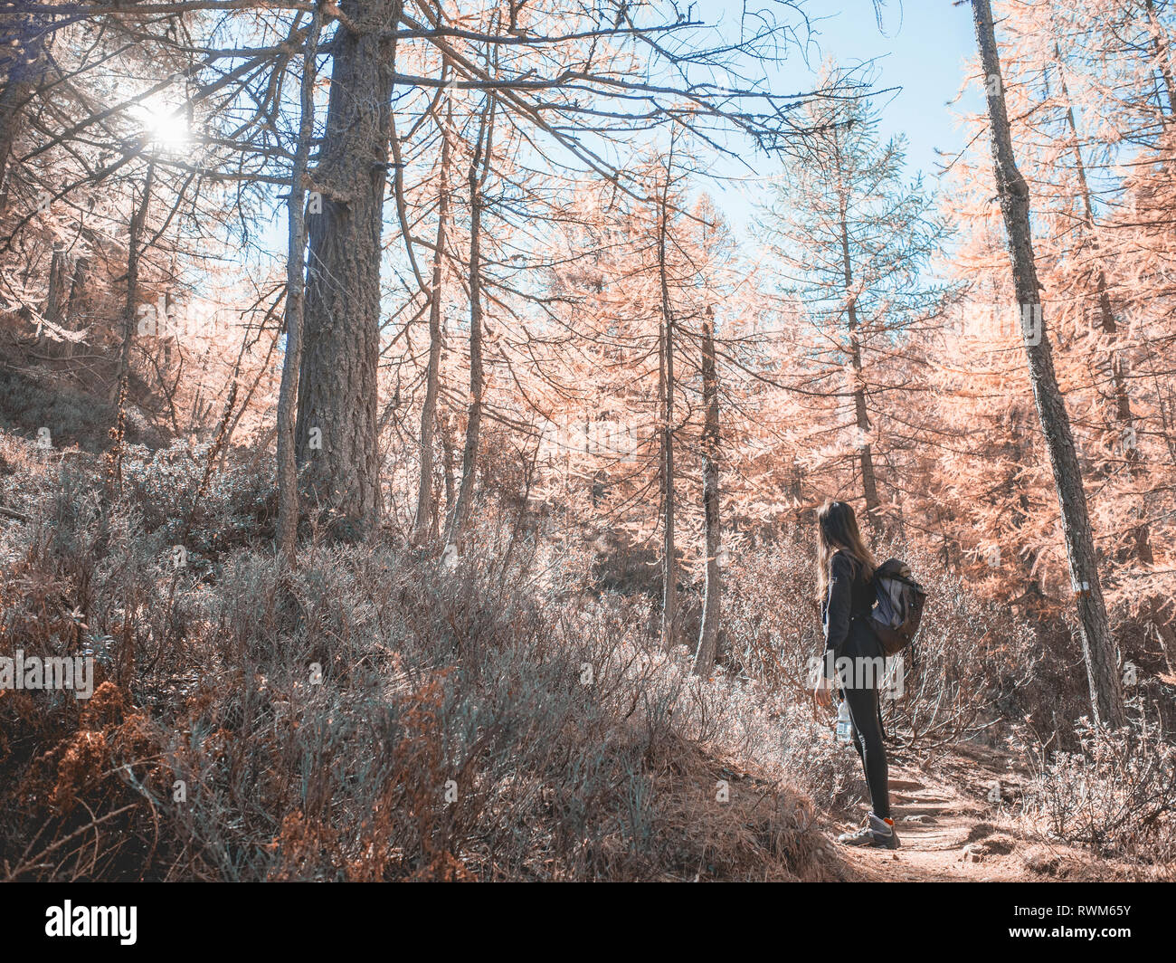 Woman exploring forest, Antronapiana, Piemonte, Italy Stock Photo