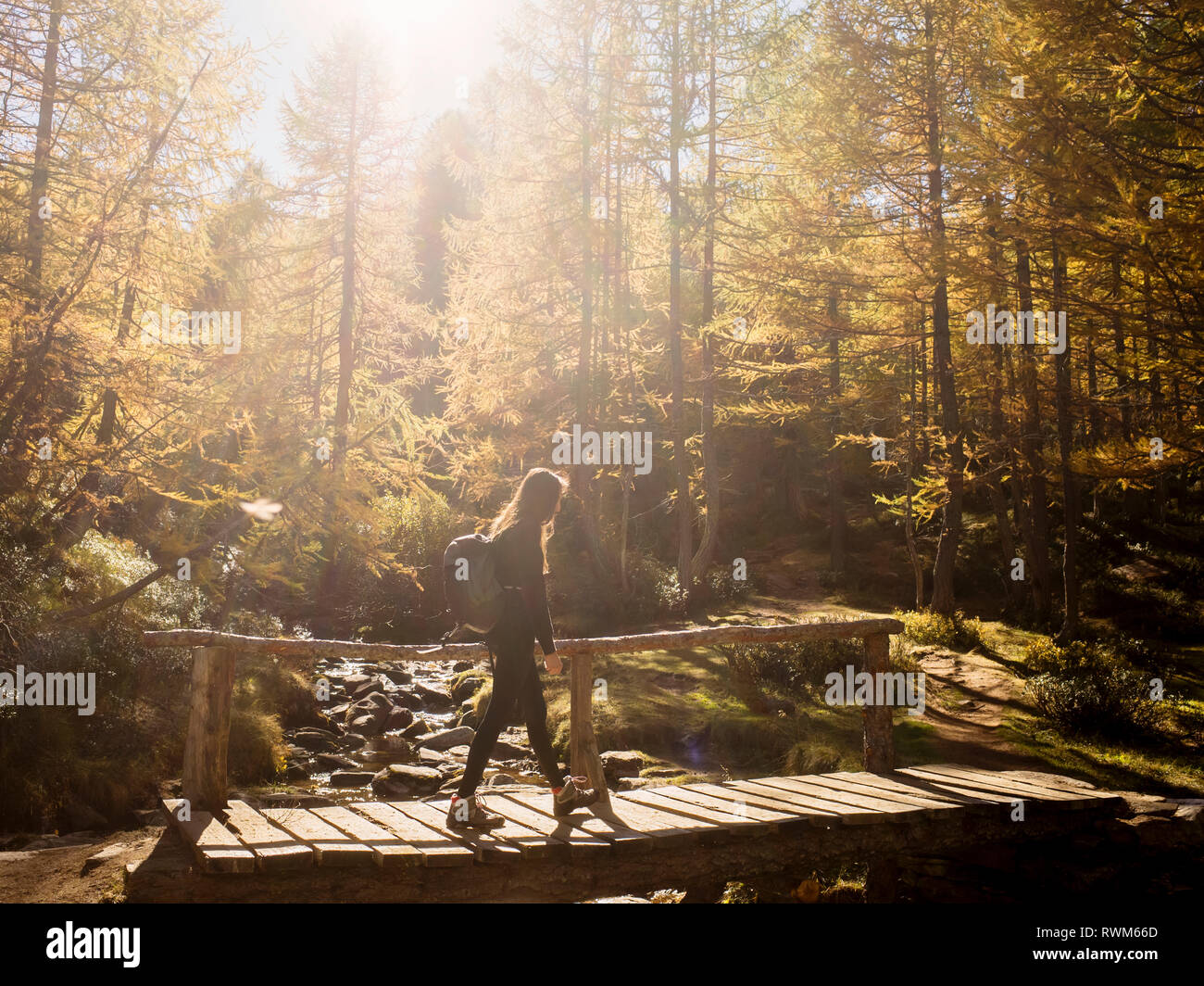 Woman exploring forest, Antronapiana, Piemonte, Italy Stock Photo