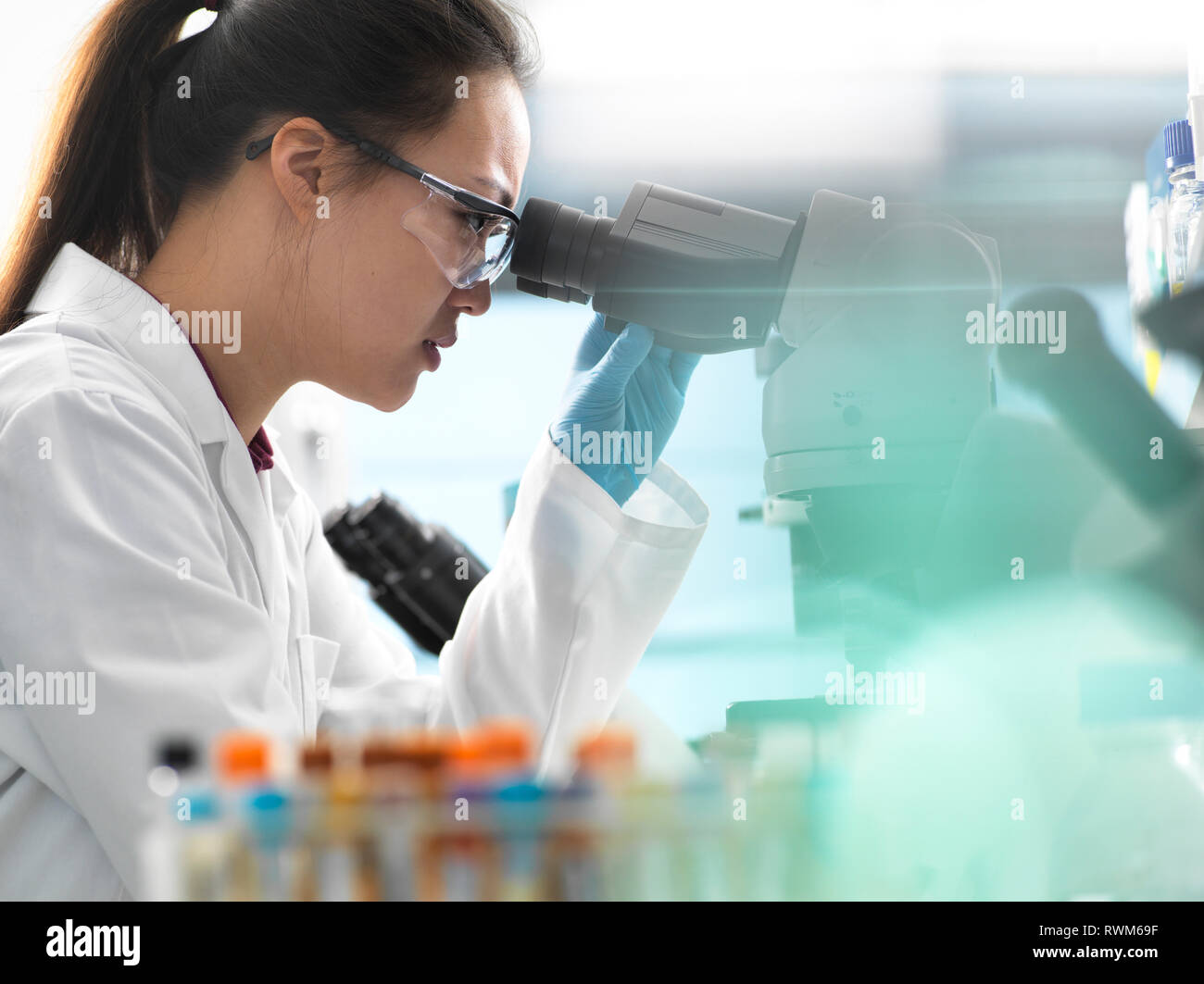 Scientist viewing human sample on glass slide with microscope in laboratory Stock Photo
